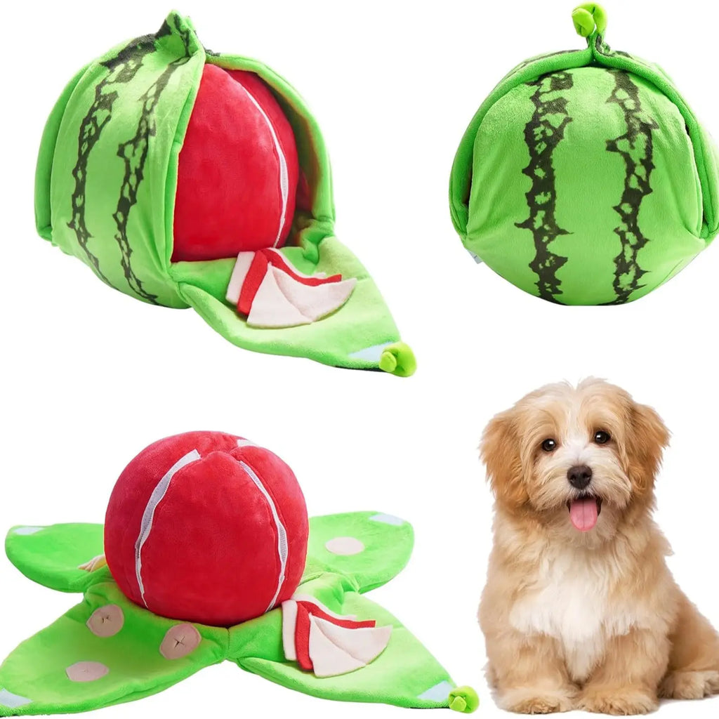 4-in-1 Watermelon Enrichment Dog Toy