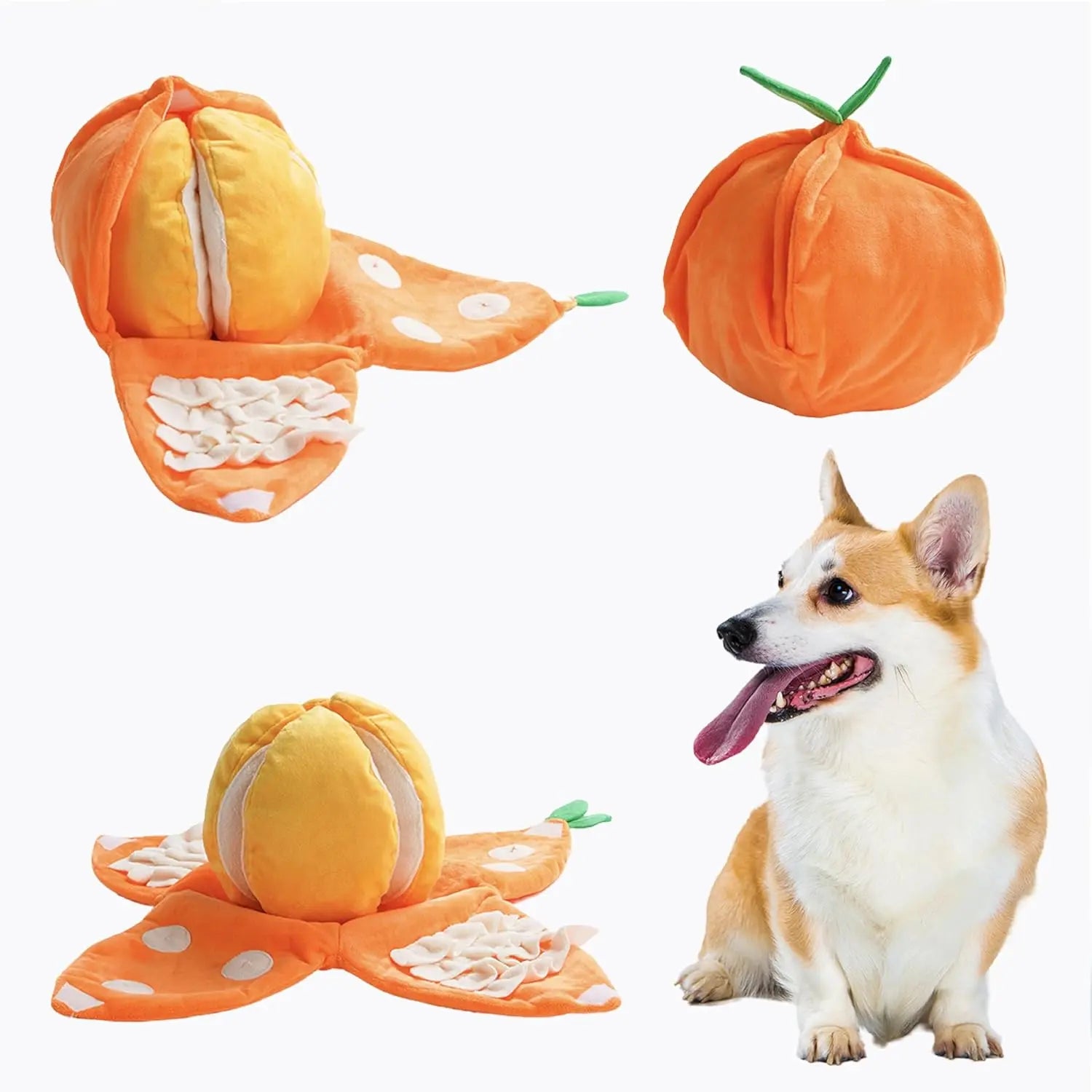 4-in-1 Watermelon Enrichment Dog Toy