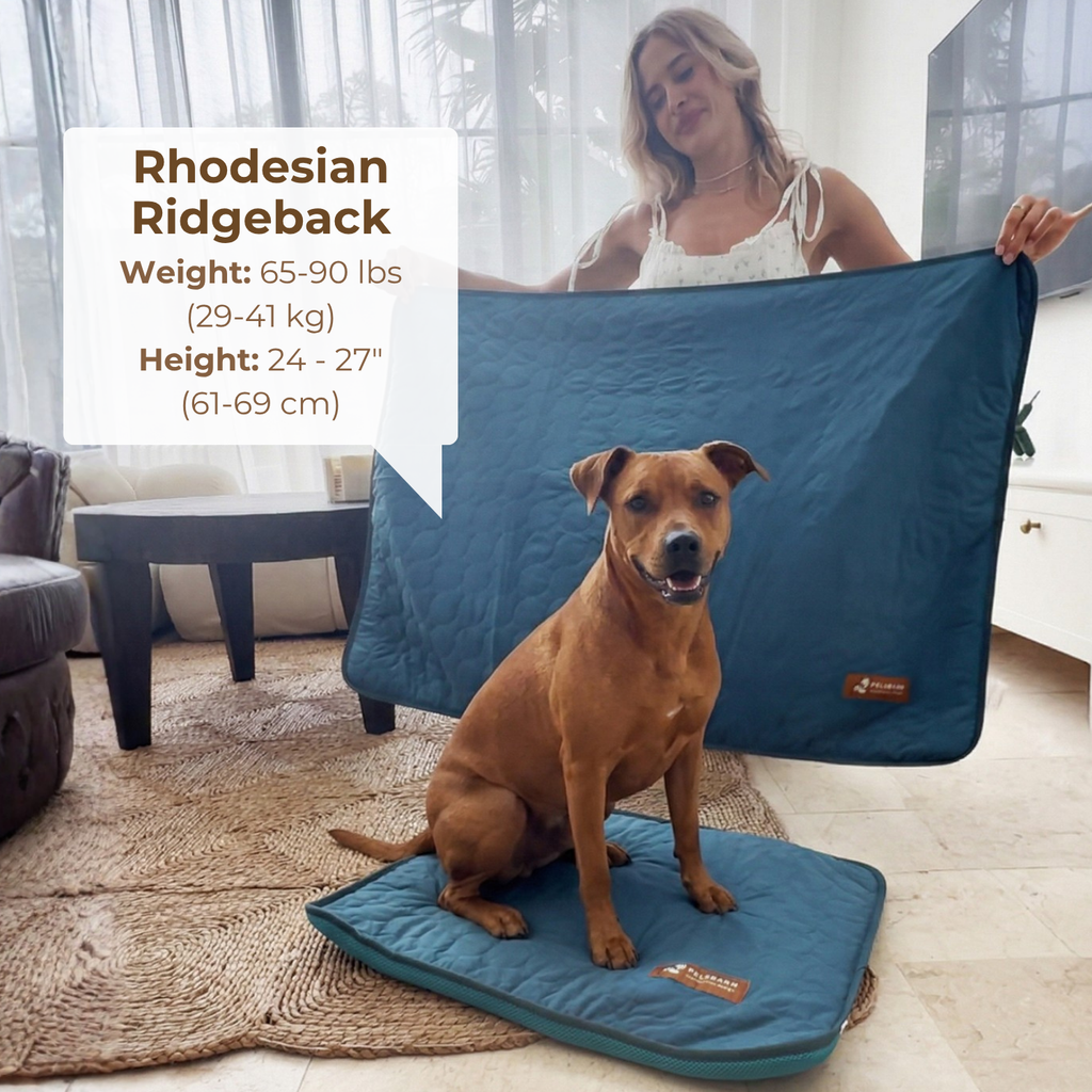Pelsbarn Cooling Mat
