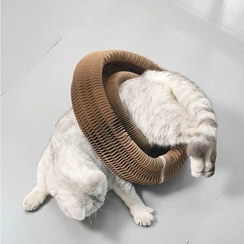 Cat Accordion Scratching Board