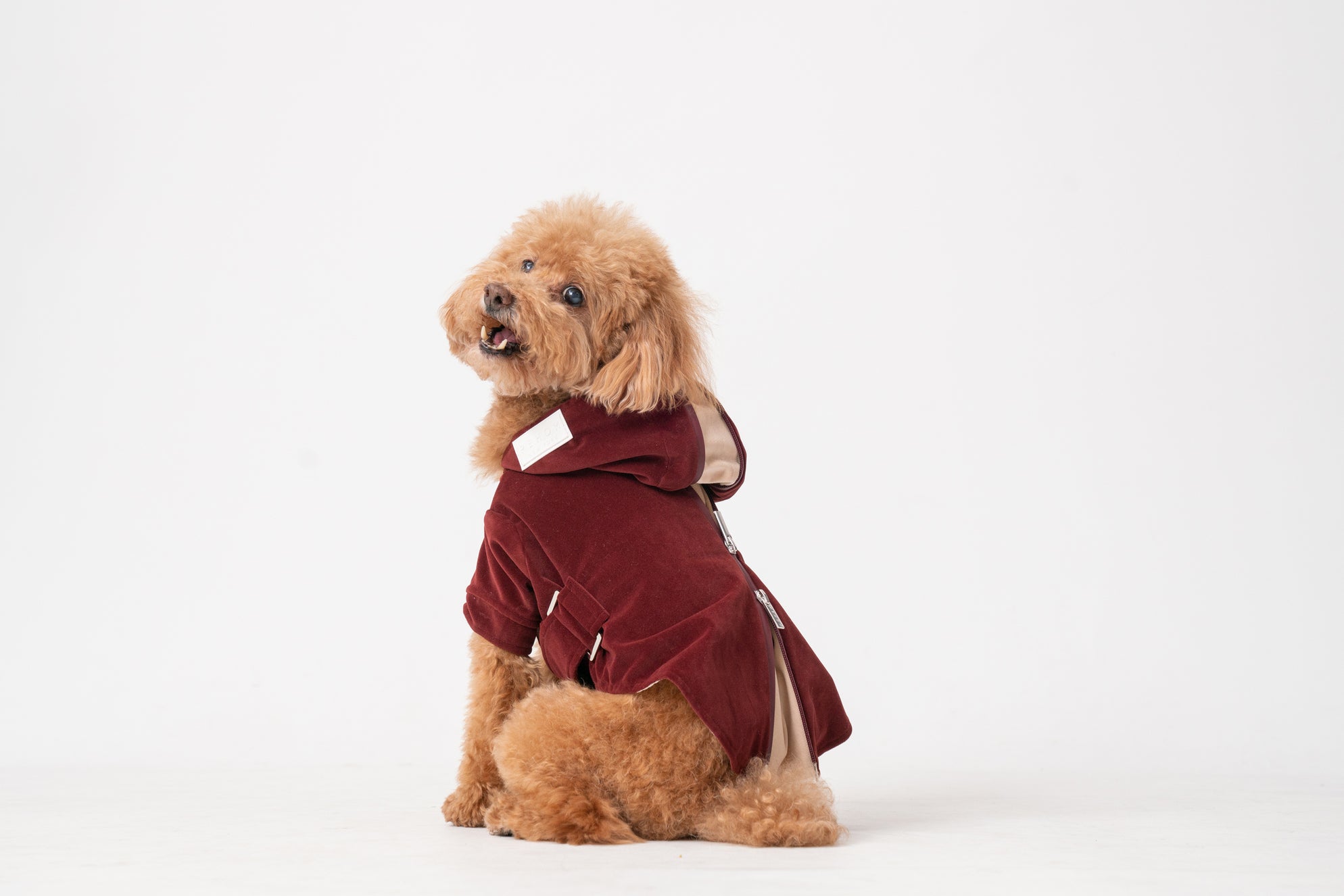 HUSTON HOODIE - DARK BURGUNDY