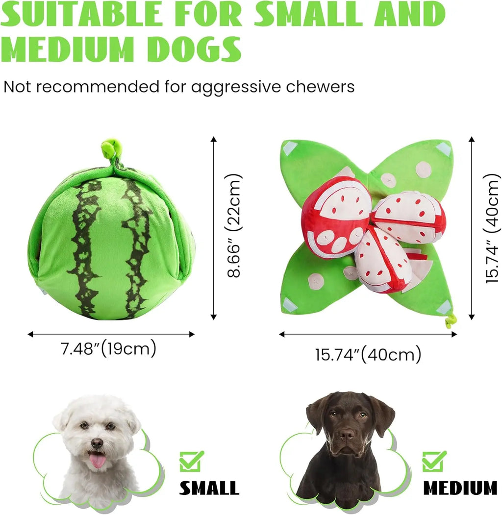 4-in-1 Watermelon Enrichment Dog Toy