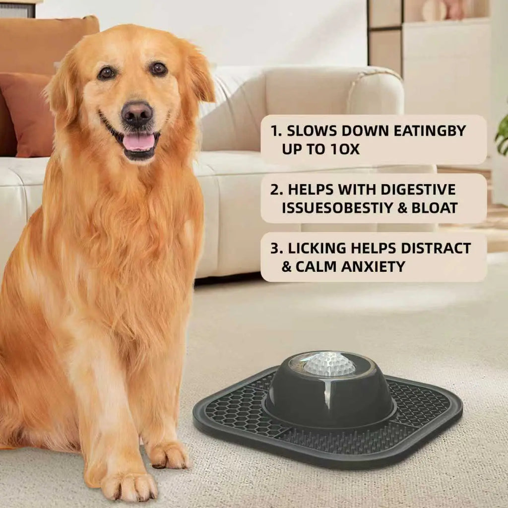 Slow Feeder Dog Bowl for Liquid Treats
