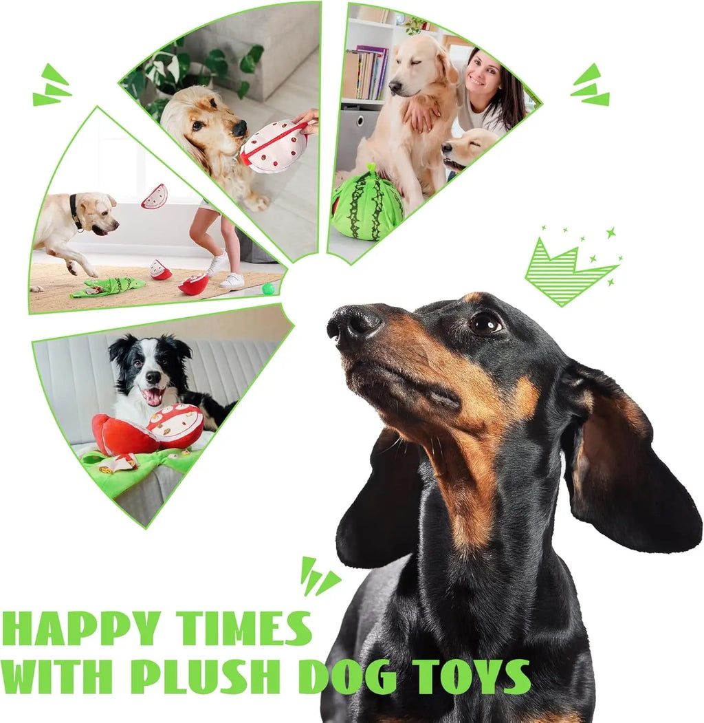 4-in-1 Watermelon Enrichment Dog Toy