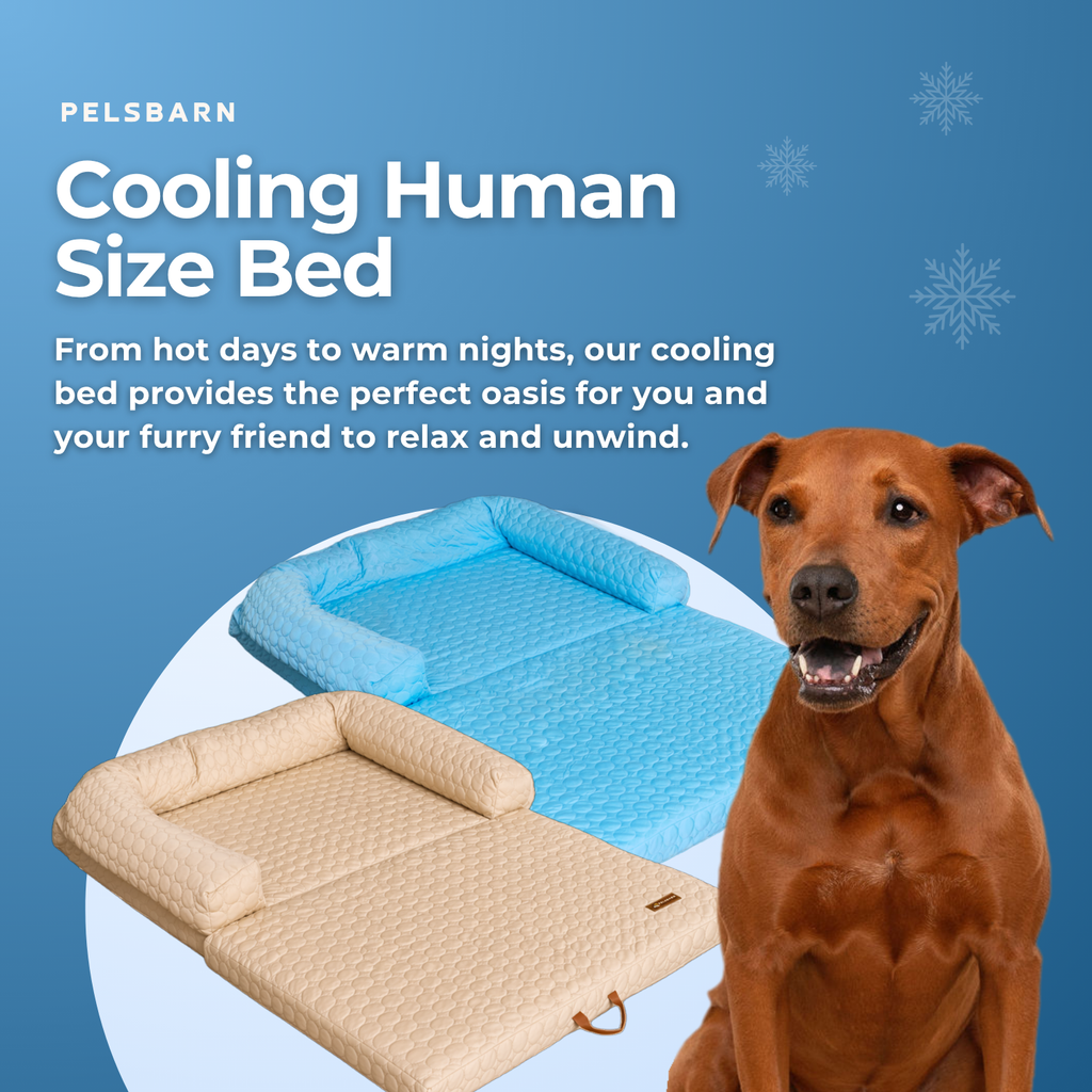 Human Size Cooling Dog Bed