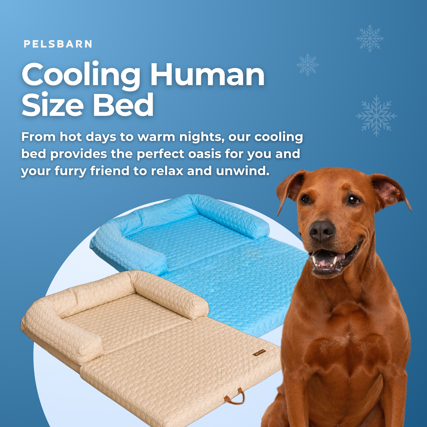 Human Size Cooling Dog Bed