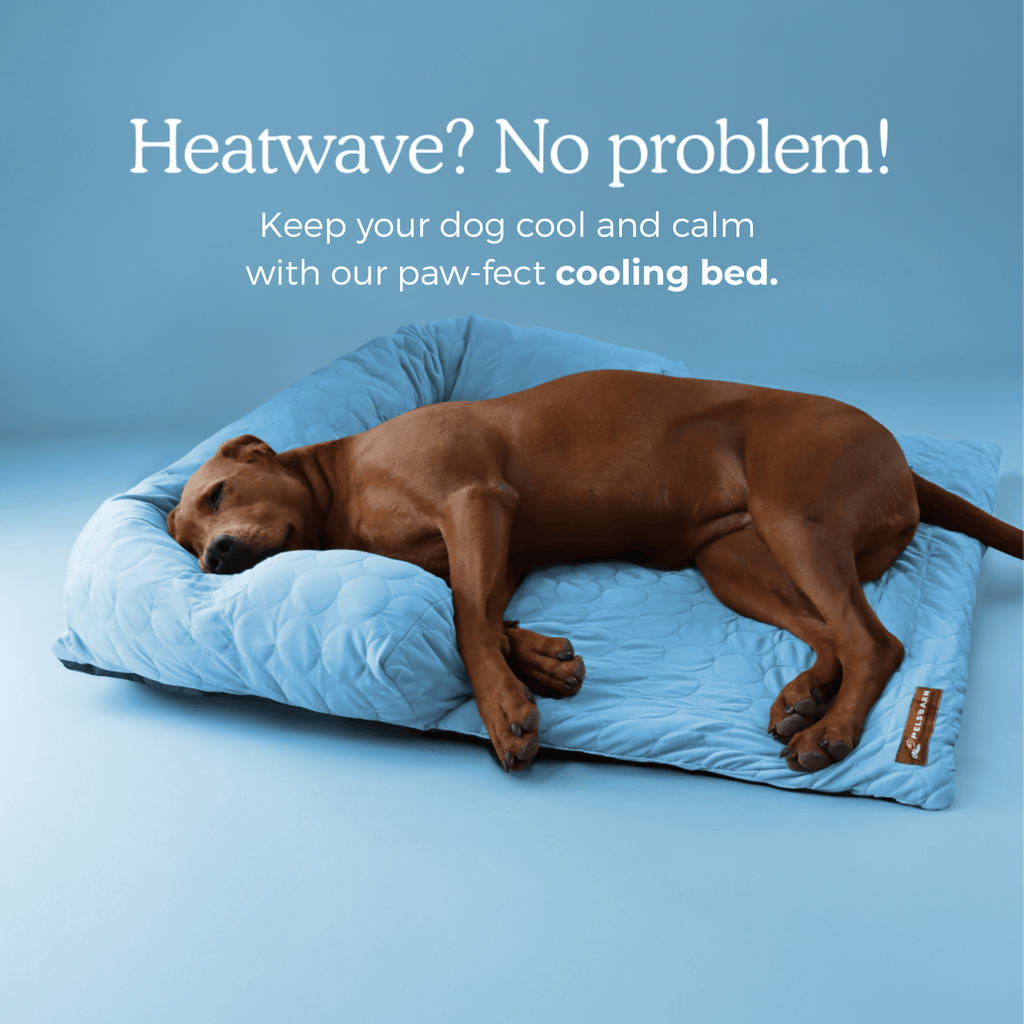Pelsbarn Cooling Bed (4x more effective)