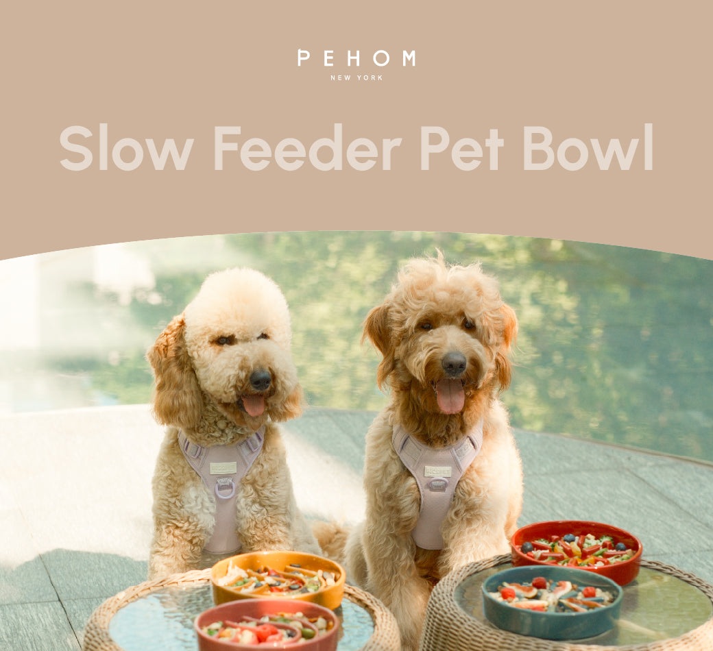 Wave Pattern Slow Feeder Bowl
