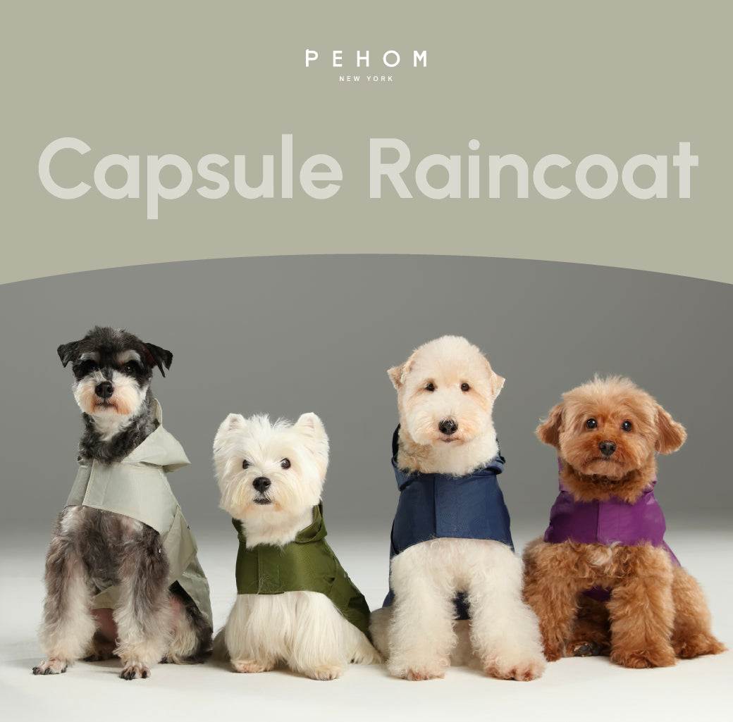 Capsule Raincoat - Beige