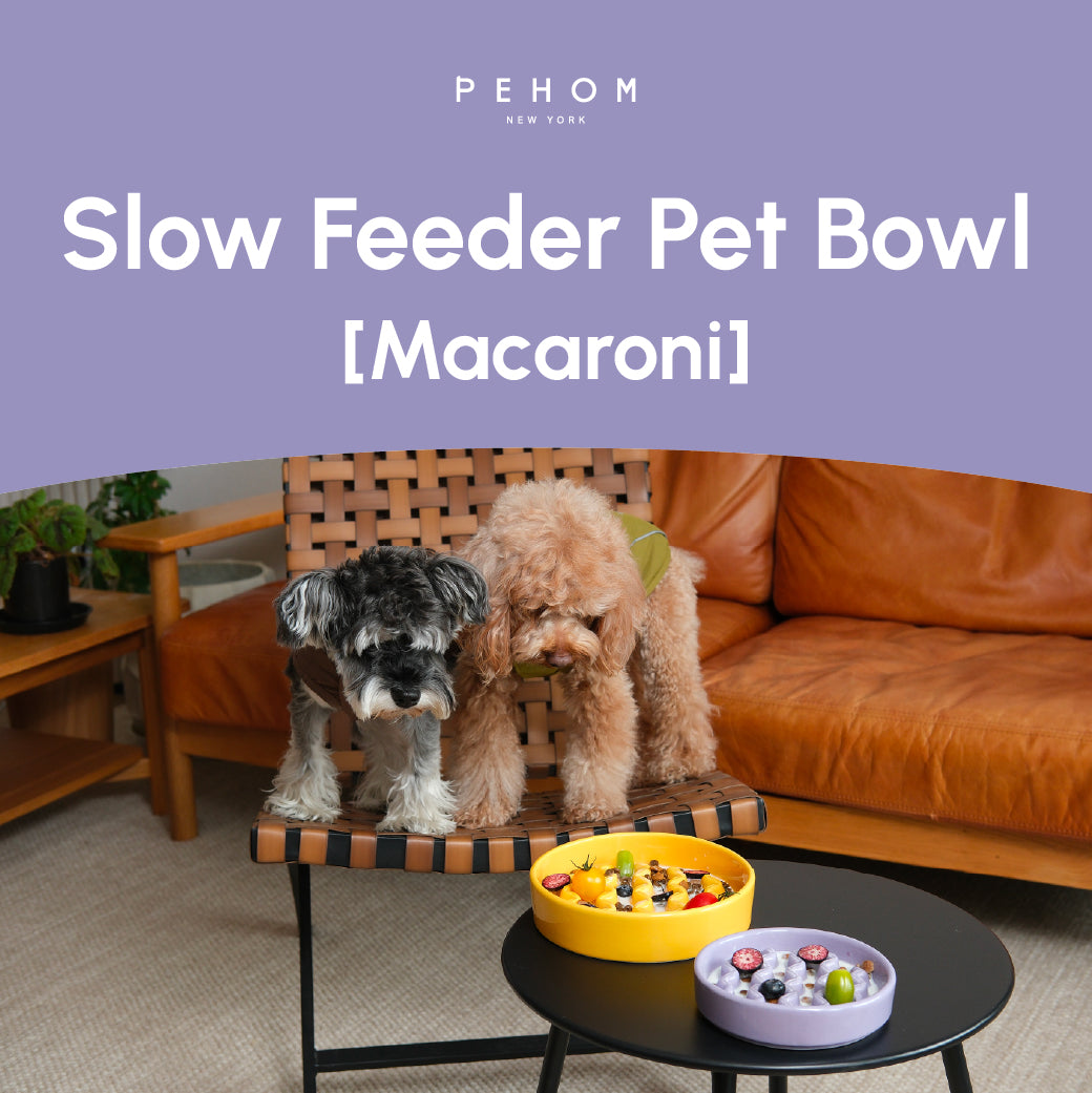 Macaroni Pattern Slow Feeder Bowl