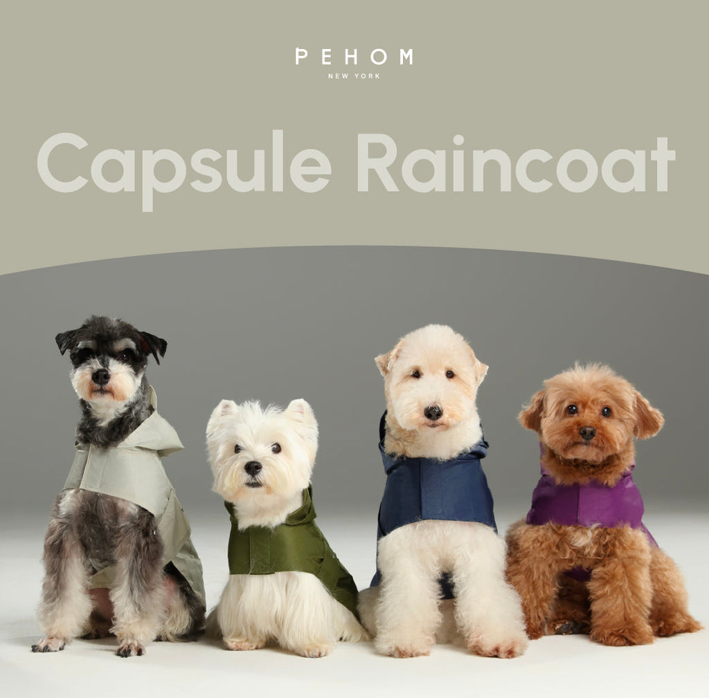 Capsule Raincoat - Green