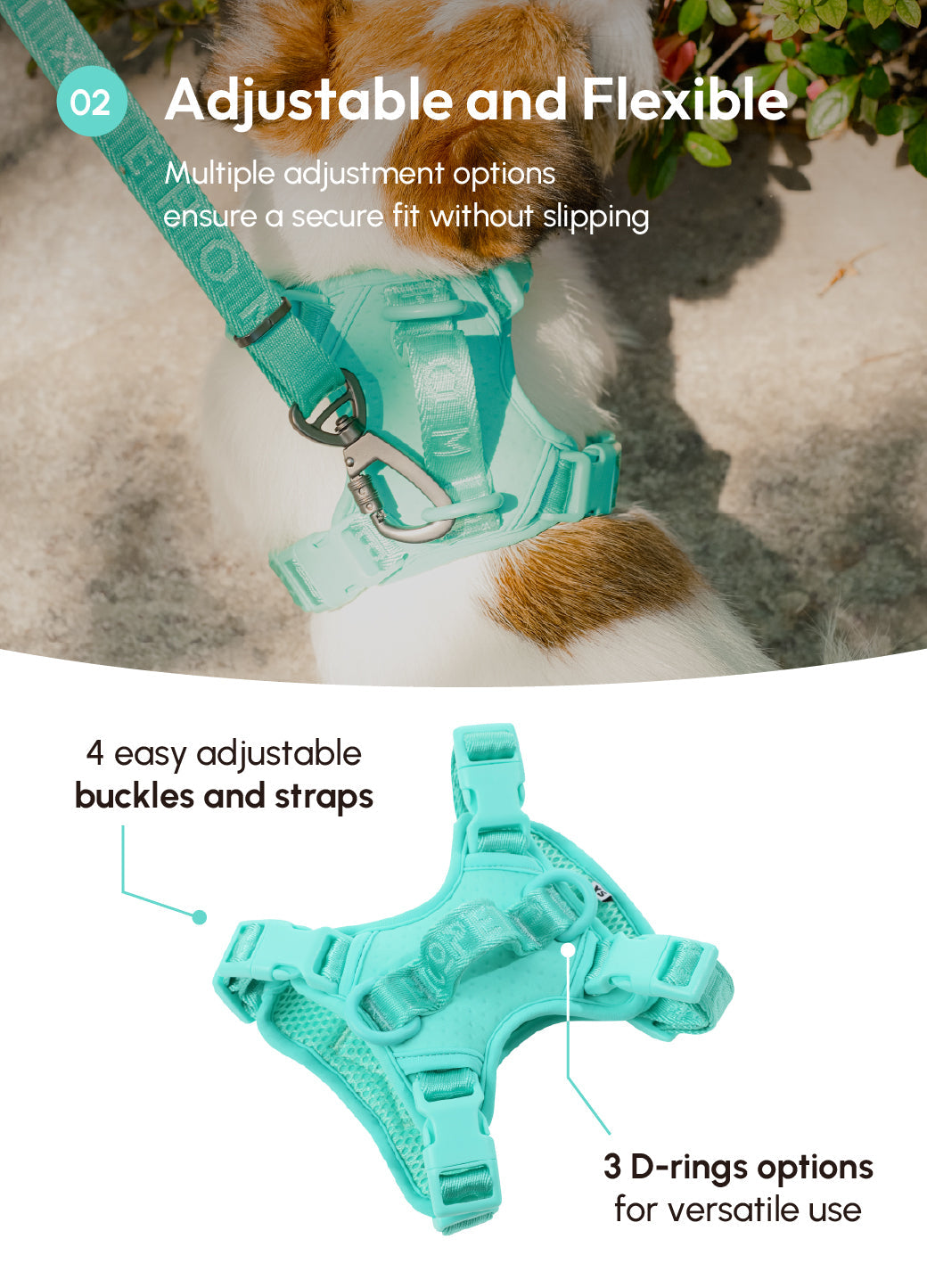 NO PULL ACTIVE  PET HARNESS - MINT GREEN