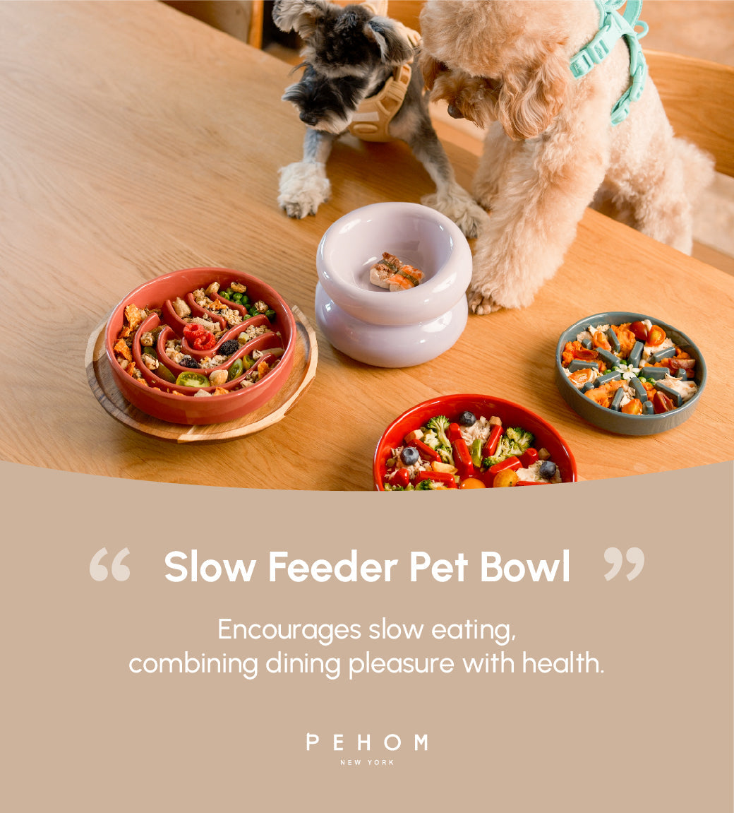 Wave Pattern Slow Feeder Bowl