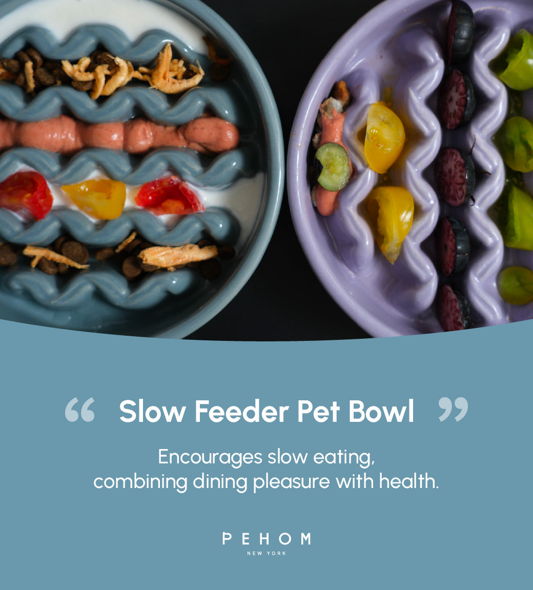 Macaroni Pattern Slow Feeder Bowl