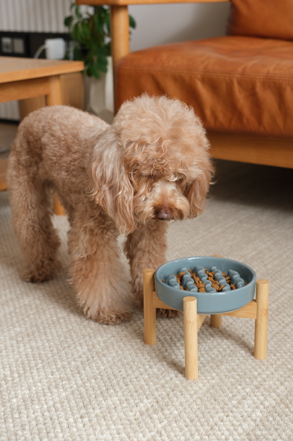 Macaroni Pattern Slow Feeder Bowl