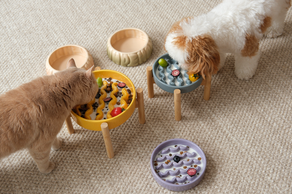 Macaroni Pattern Slow Feeder Bowl