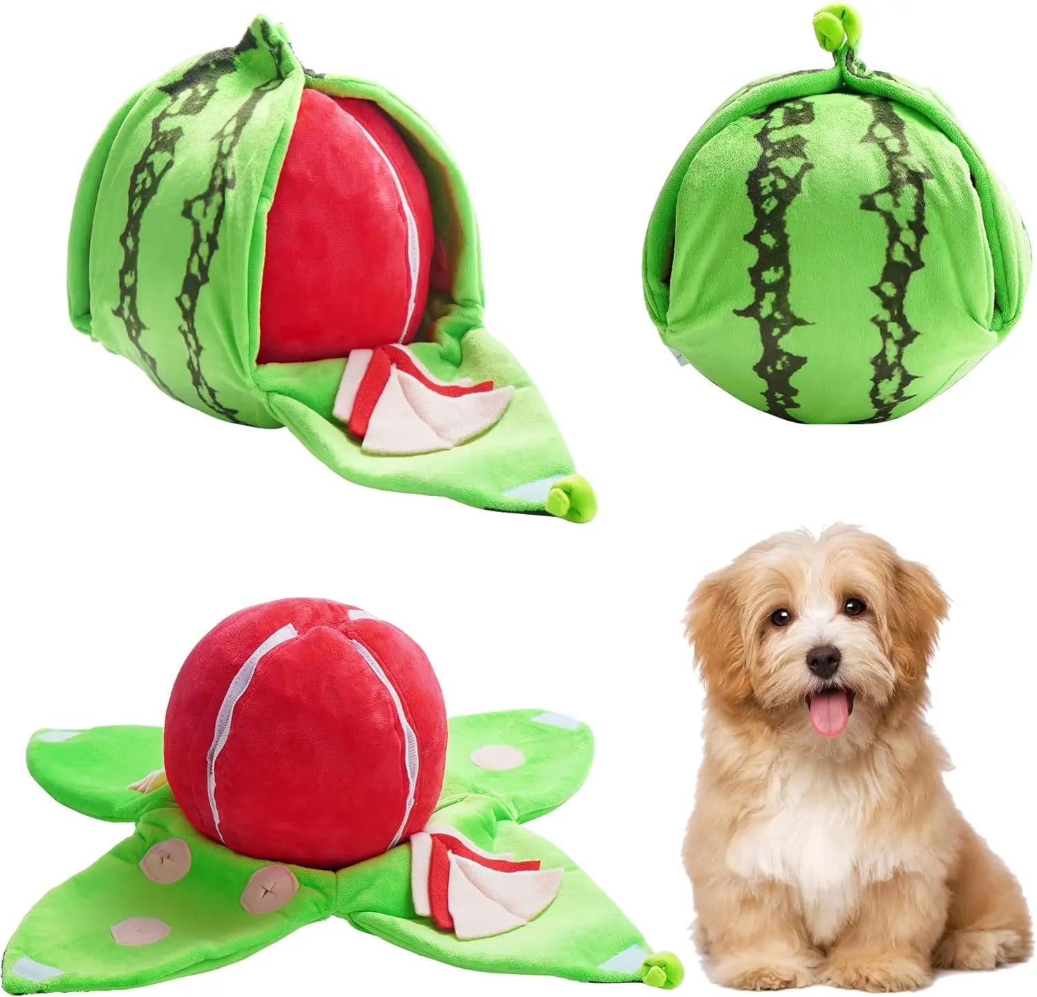 4-in-1 Watermelon Enrichment Dog Toy