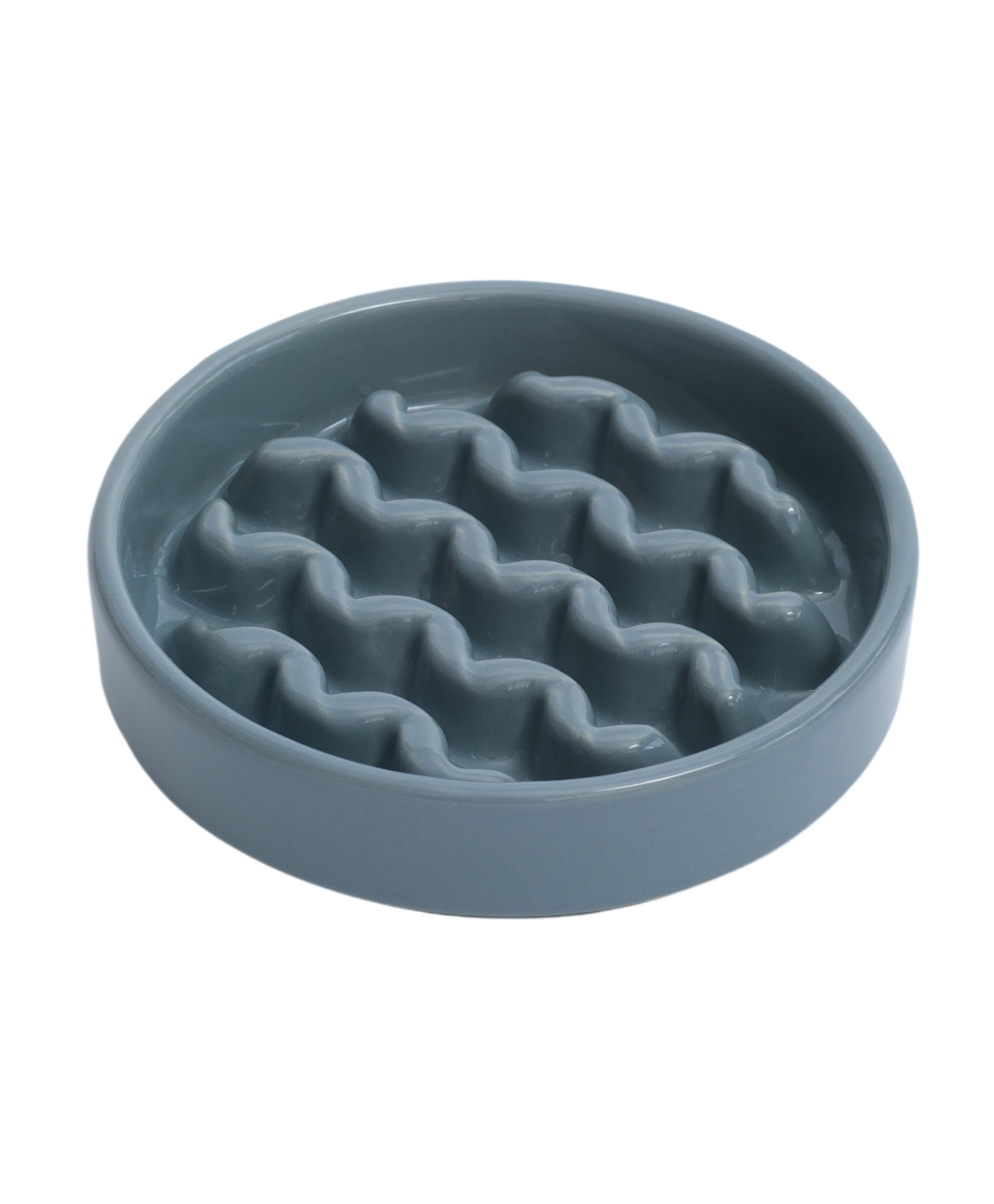 Macaroni Pattern Slow Feeder Bowl